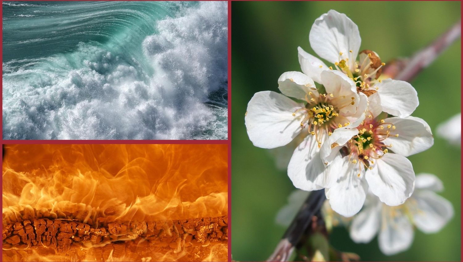 Plakat mit Fotos mit den Elementen Feuer, Wasser, Luft