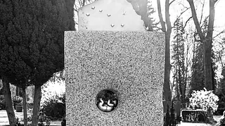 Ein Korb voller Rosen und Brötchen